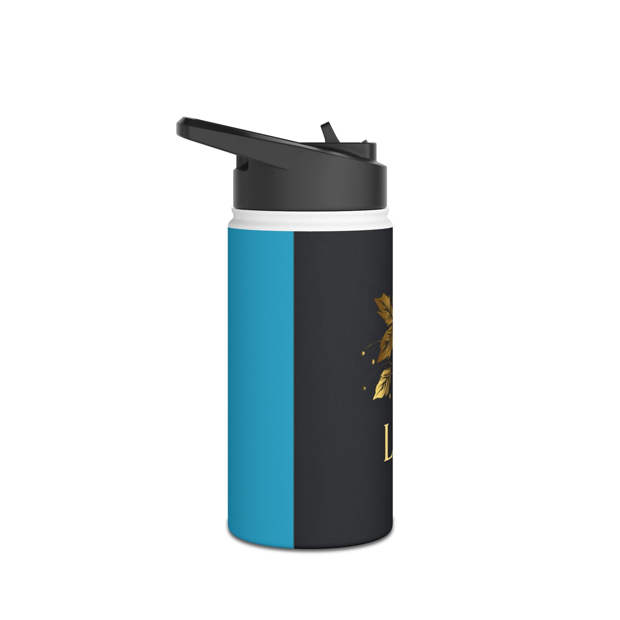 Stainless Steel Water Bottle, Standard Lid